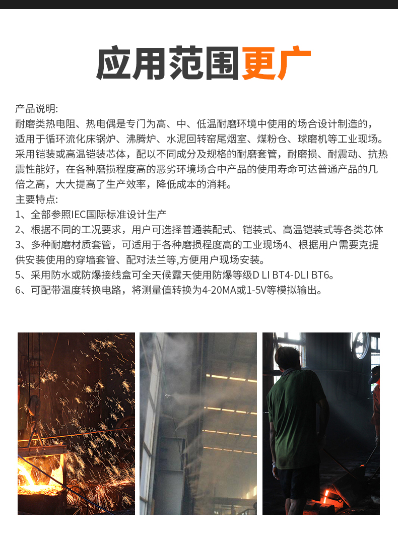 WRNM-131耐磨熱電偶15_http://m.ymyuan.cn_溫度儀表_第6張